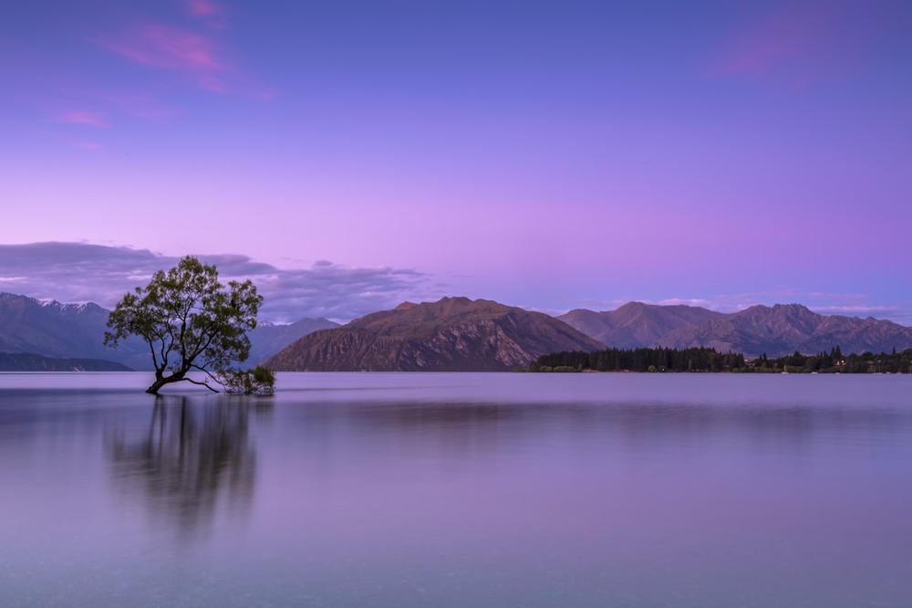 Landscape